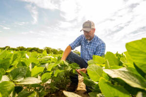 Chase Burns LandGuys Every Acre Tells a Story™ out checking beans on his property in Western Illinois